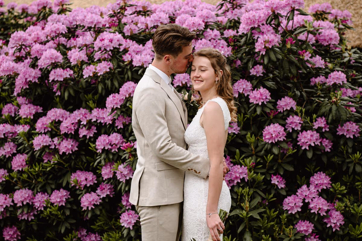bruidspaar omarmd tijdens fotoshoot voor een grote roze/paarse rhododendronstruik